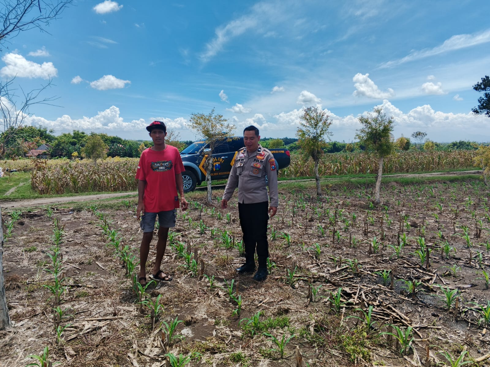 Bhabinkamtibmas Polsek Ngusikan Lakukan Peninjauan Tanaman Jagung Dalam Rangka Mendukung Ketahanan Pangan