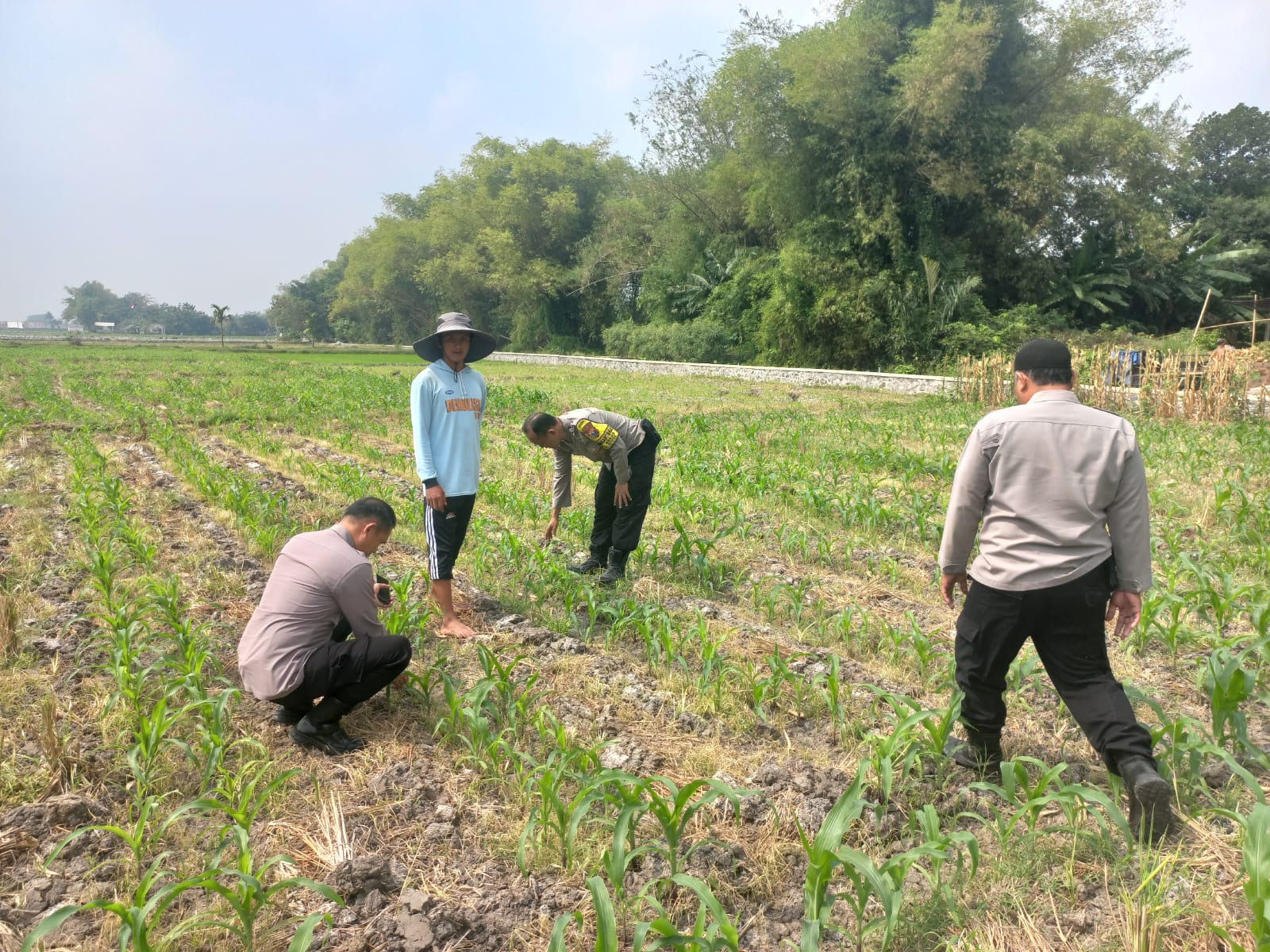 Polsek Diwek Tinjau Tanaman Jagung Dukung Program Nasional Asta Cita