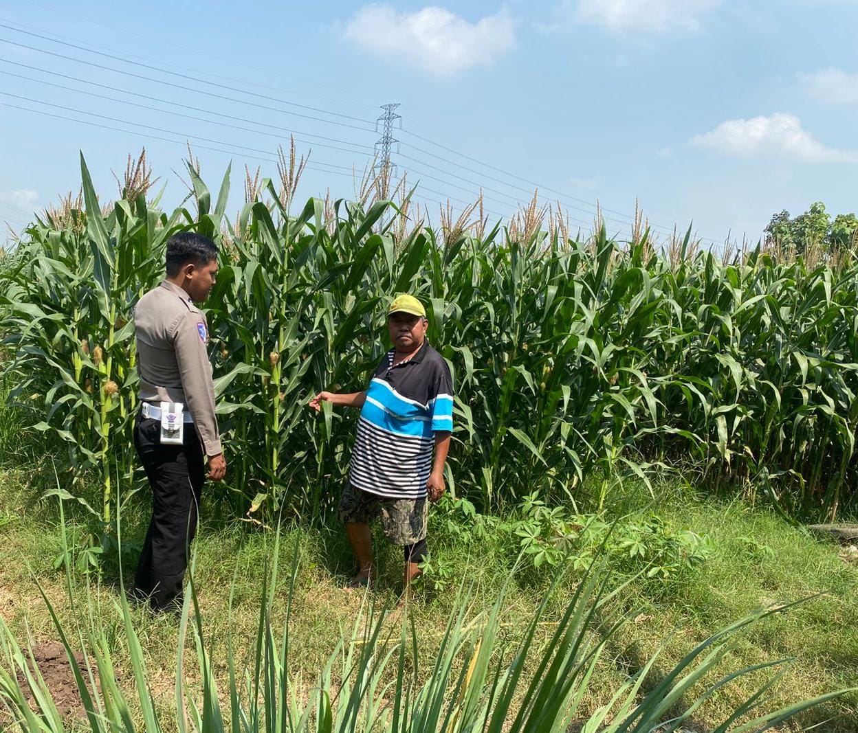 Sambang Persawahan Milik Warga Dalam Rangka Program Ketahanan Pangan Polsek Mojoagung