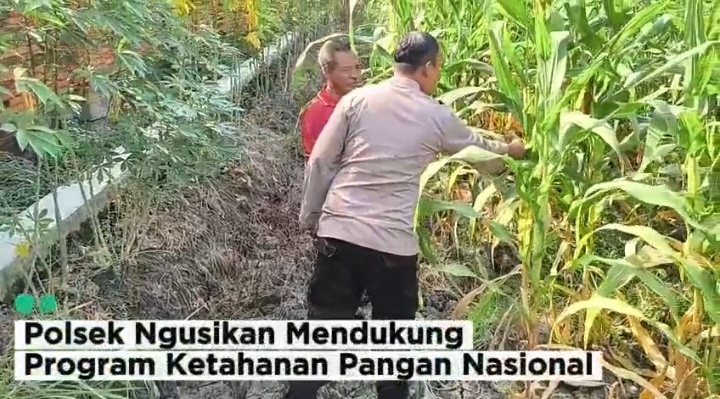 Bhabinkamtibmas bersama petani dukung ketahanan pangan nasional