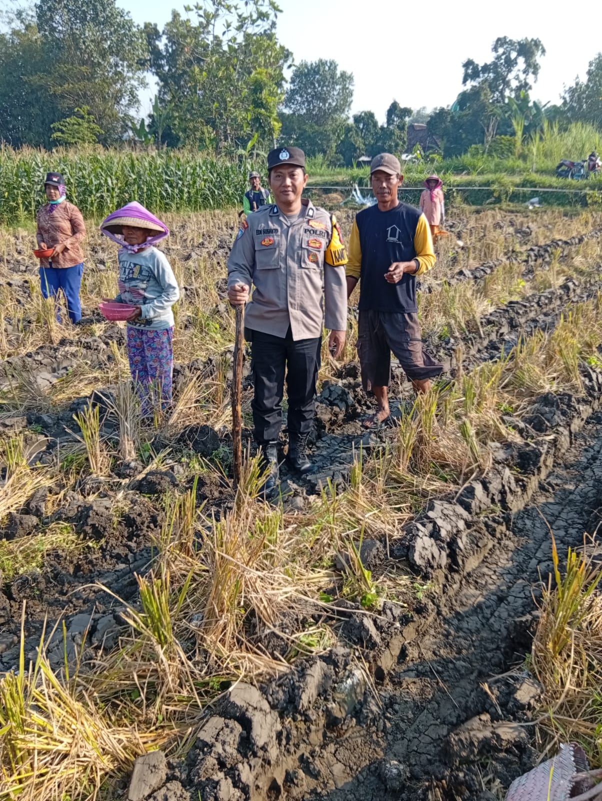 Kanit Binmas Sambang Ke Sawah Warga Guna Dukung Ketahanan Pangan
