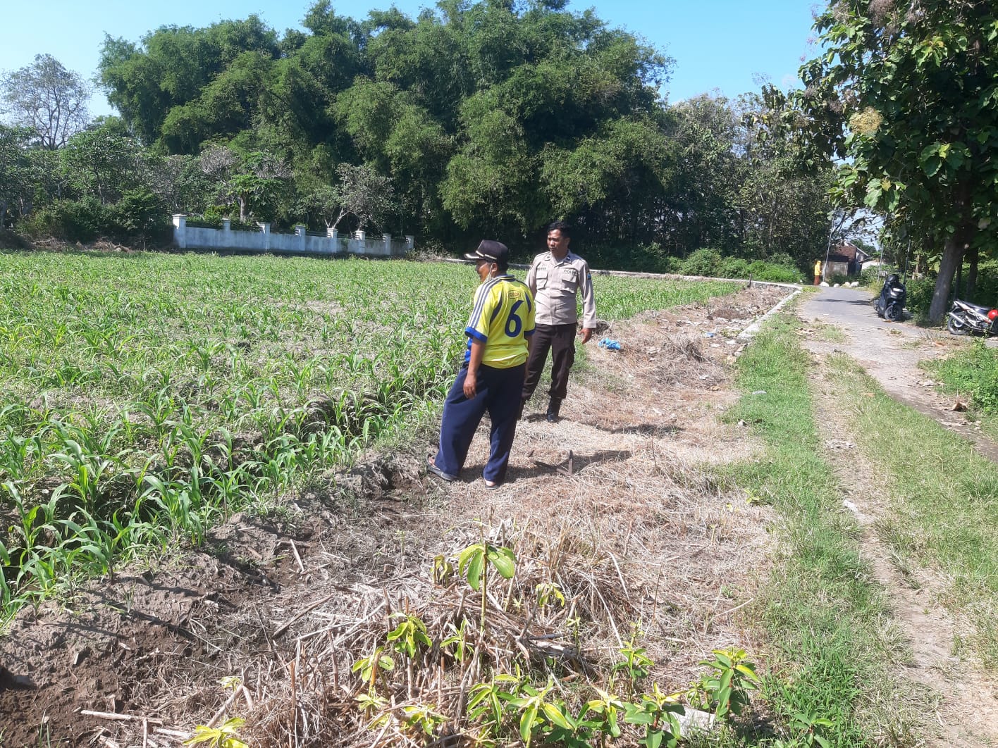 Anggota Polsek Perak Tinjau Perkembangan Tanaman Jagung Triwulan II Tahun 2026