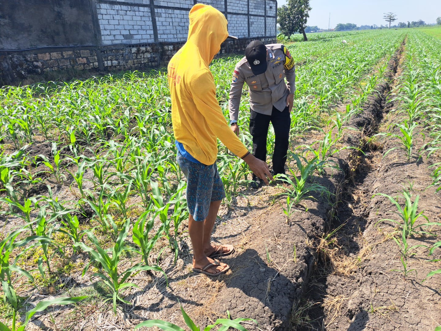 Bhabinkamtibmas Hadir di Tengah Masyarakat, Dukung Program Ketahanan Pangan Nasional