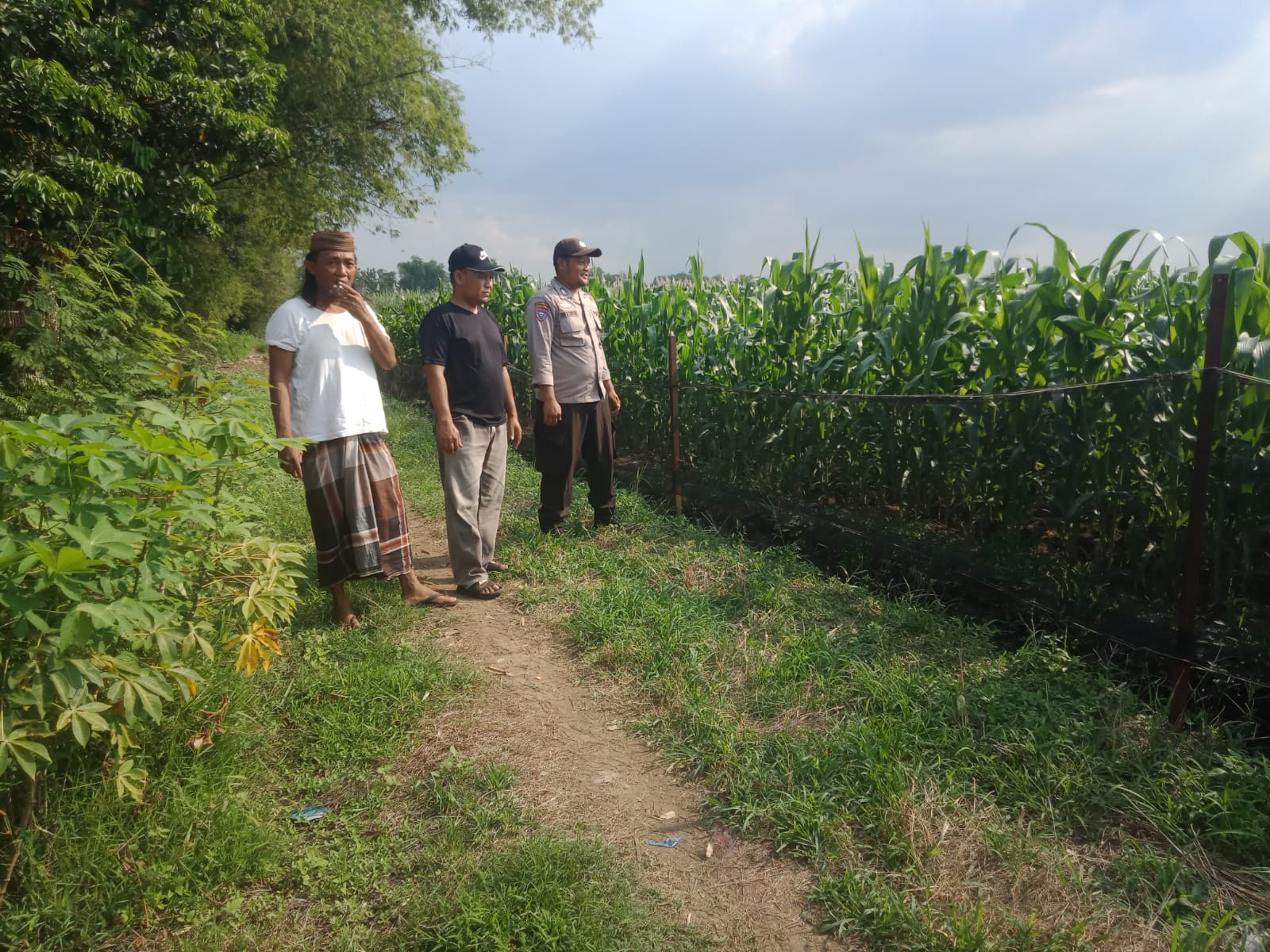 Polisi dan Petani Optimalkan Lahan Jagung untuk Dukung Swasembada Pangan Nasional