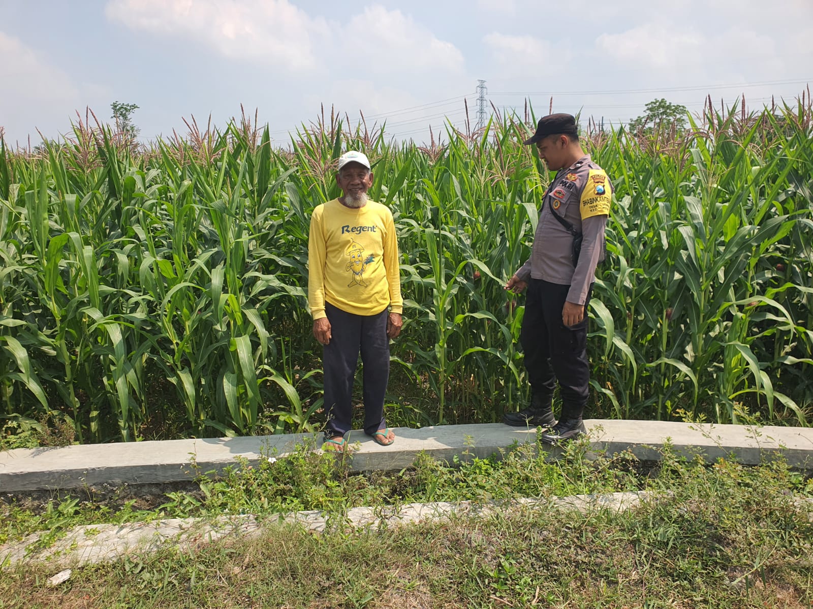 Bhabinkamtibmas desa sembung Bripda Agil aktif dalam giat pengecekan lahan tanaman jagung