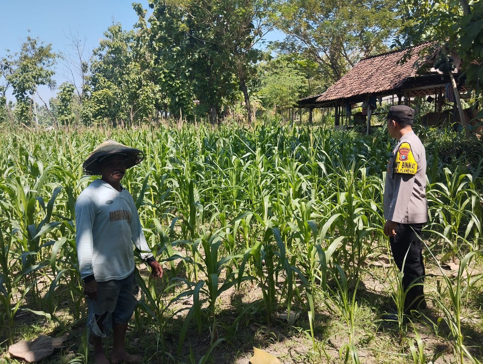 Bhabinkamtibmas Polsek Plandaan Dampingi Warga Dukung Ketahanan Pangan